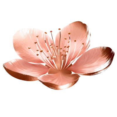Logo:Abrasa Bloom